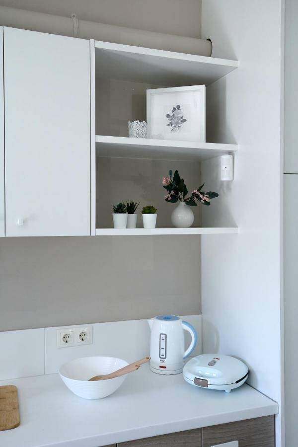 Sti Chora Apartments Lefkáda 外观 照片